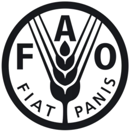Az ENSZ Élelmezésügyi és Mezőgazdasági Szervezete (FAO)