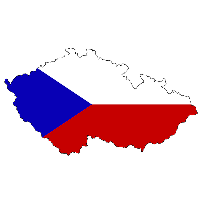 cseh tolmács